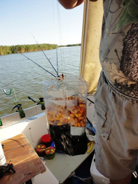 delta rosu 2011 - dsc00870.JPG